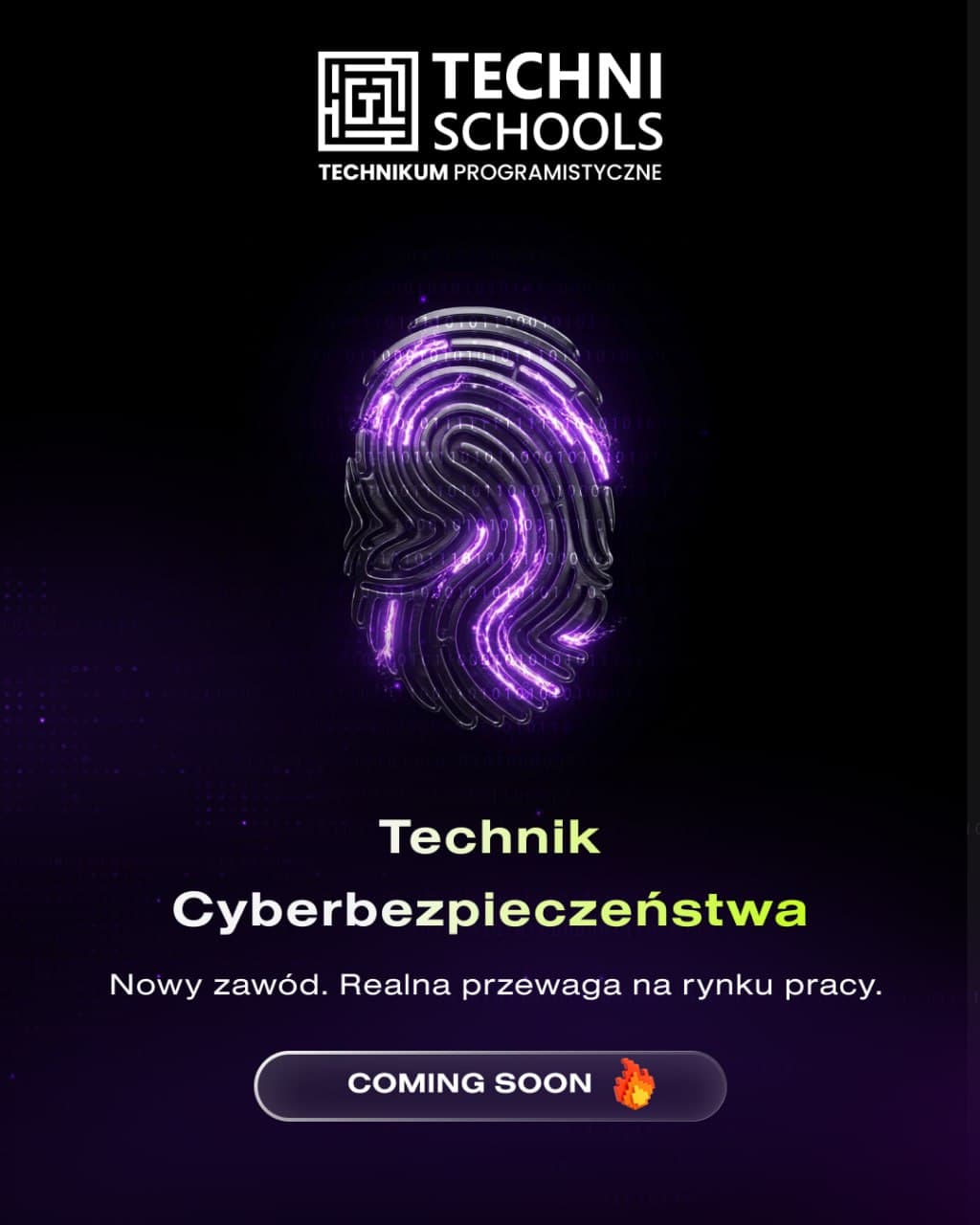 technik-cyberbezpieczenstwa